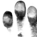 Impronte digitali