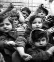 Bimbi Rom sopravvissuti ad Auschwitz